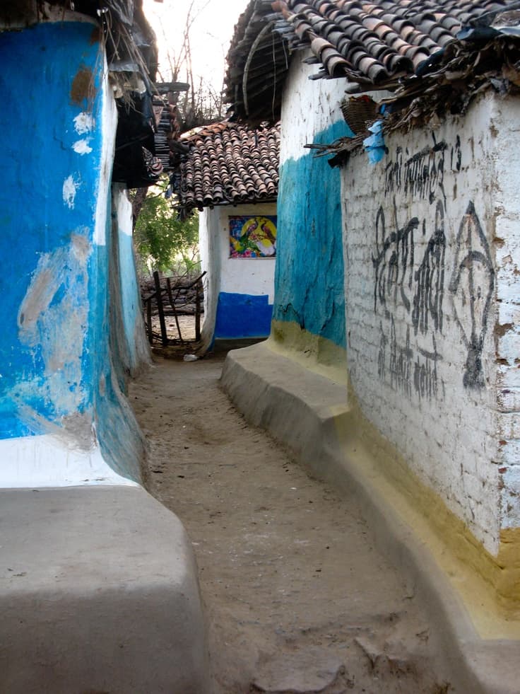 Chhattisgarh tribal art